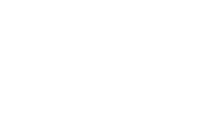 Blaue Rosen Group Vergil Insurance Since 2012