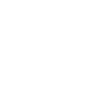 Since 2012 Blaue Rosen GroupVergil Insurancehttp://www.vergil-insurance.com/